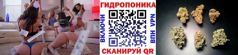 купить наркотик  Таштагол  Каннабис планчик 